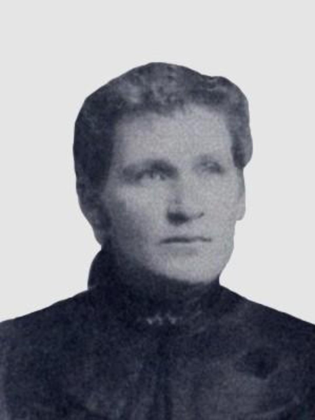 Catherine Elnora Andersson (1856 - 1926) Profile